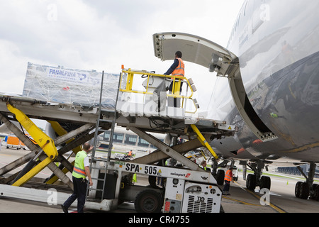 Ladung ist von einer Lufthansa Boeing 747-8 abgeladen. Stockfoto