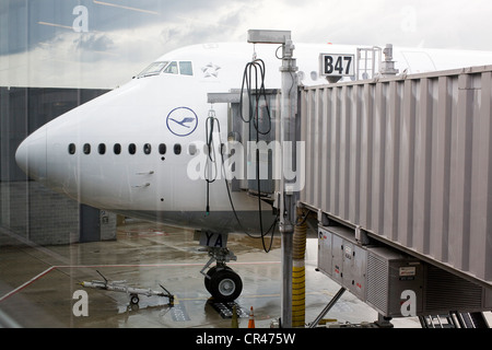 Eine Lufthansa Boeing 747-8 kommt am Dulles International Airport auf seiner ersten Passagierflug. Stockfoto