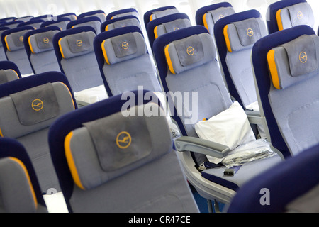 Die Economy Class Abschnitt einer Lufthansa Boeing 747-8. Stockfoto