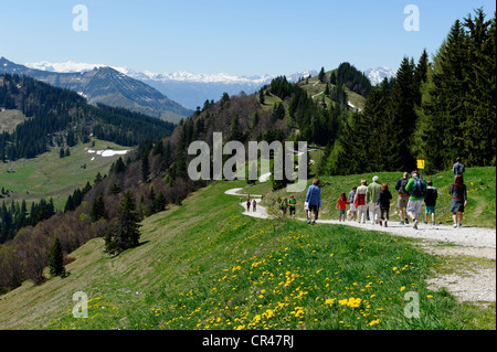 Wanderer, Mt Zwölferhorn bei St. Gilgen am Wolfgangsee See, Salzburger Land, Österreich, Europa Stockfoto