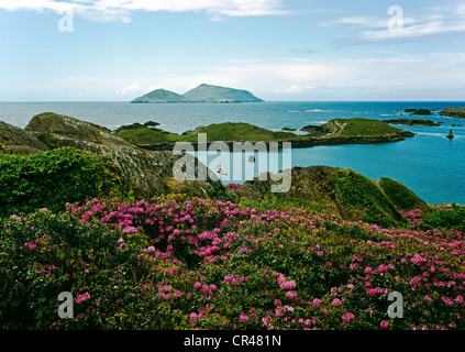 Derrynane Hafen, Kenmare River, County Kerry, Irland, Europa Stockfoto