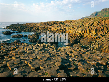 Giant es Causeway, County Antrim, Nordirland, Vereinigtes Königreich, Europa Stockfoto