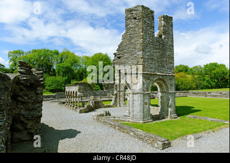 Bleibt der Kreuzgang und Lavabo, Mellifont Abbey, ein Zisterzienser-Abtei, County Louth, Republik Irland, Europa Stockfoto