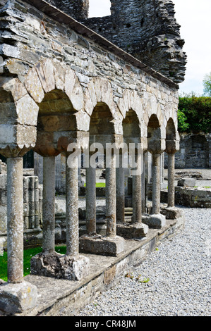 Bleibt der Kreuzgang und Lavabo, Mellifont Abbey, ein Zisterzienser-Abtei, County Louth, Republik Irland, Europa Stockfoto