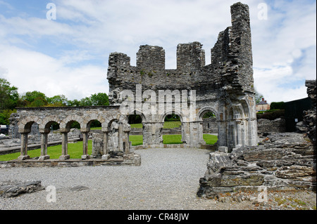 Bleibt der Kreuzgang und Lavabo, Mellifont Abbey, ein Zisterzienser-Abtei, County Louth, Republik Irland, Europa Stockfoto