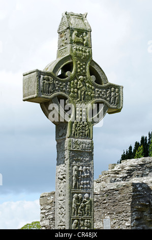 Hohes Kreuz, Monasterboice, County Louth, Republik Irland, Europa Stockfoto