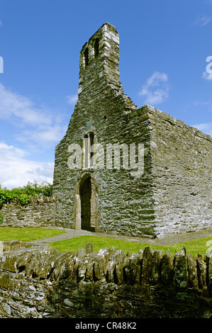 Kapelle, Mellifont Abbey, einer Zisterzienserabtei, County Louth, Republik Irland, Europa Stockfoto