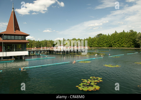 Menschen schwimmen in den verjüngenden Wassern der See Heviz, Thermalsee in der Nähe von Keszthely in Ungarn. Stockfoto