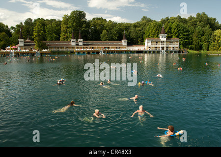 Menschen schwimmen in den verjüngenden Wassern der See Heviz, Thermalsee in der Nähe von Keszthely in Ungarn. Stockfoto