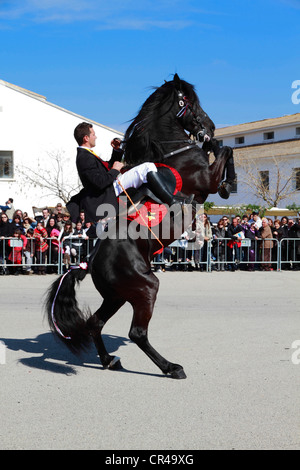 Fahrer, die Durchführung von menorquinischen Dressur, Santa Eulalia, Ibiza, Spanien, Europa Stockfoto