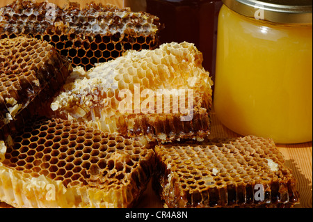 Frühlings-Honig in Gläsern mit Waben mit Honig Stockfoto
