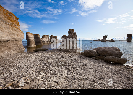 Kanada, Provinz Quebec, Duplessis Region, Wale Route, nördliche Küste von St. Lawrence River, Mingan Archipel Nationalpark, Stockfoto