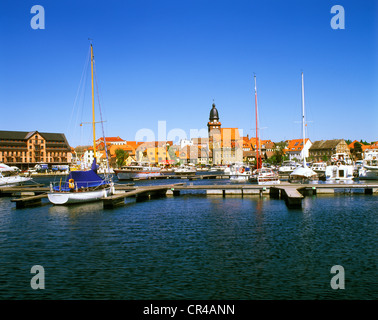 Warener auf See Müritz, Mecklenburg-Vorpommern, Deutschland, Europa Stockfoto