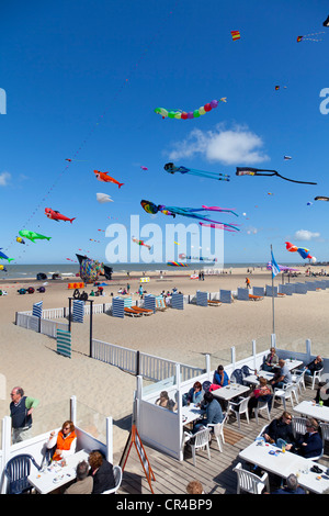 Drachen im International Kite Festival in Ostende, West-Flandern, Belgien, Europa Stockfoto