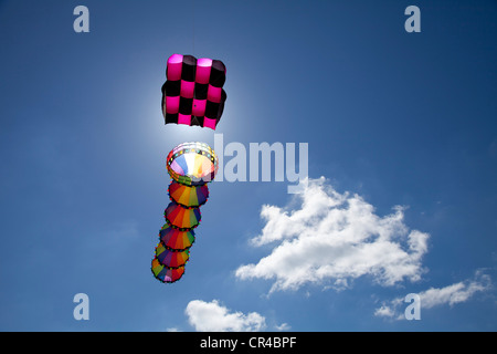 Kite in den internationalen Drachenfest in Ostende, West-Flandern, Belgien, Europa Stockfoto