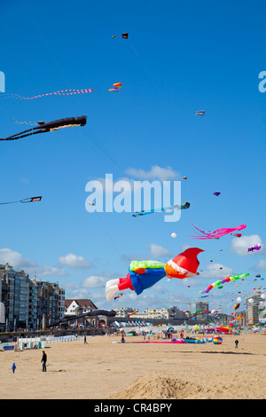 Drachen im International Kite Festival in Ostende, West-Flandern, Belgien, Europa Stockfoto