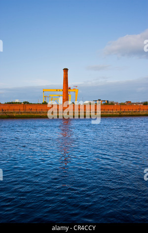 Stillgelegten Krane bei Harland und Wolfe Werft, Fluss Lagan, Belfast, Nordirland, Vereinigtes Königreich, Europa Stockfoto