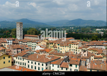 Blick vom Torre Palazzo Guinigi Turm, Lucca, Toskana, Italien, Europa Stockfoto