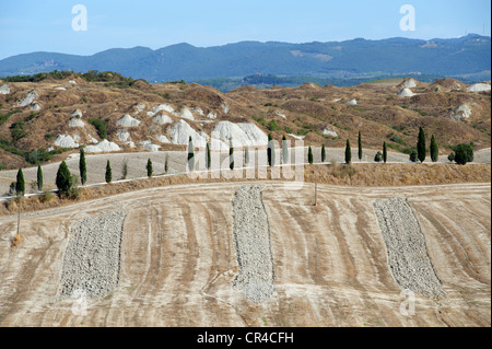 Landschaft südlich von Siena mit Biancane, kuppelförmigen Formationen, Crete Senesi, Toskana, Italien, Europa Stockfoto