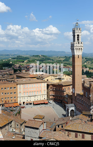 Blick auf die Piazza del Campo mit dem Torre del Mangia, Siena, Toskana, Italien, Europa Stockfoto