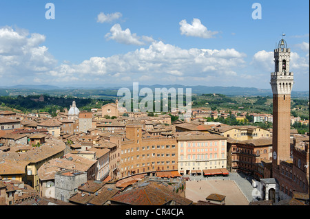 Blick auf die Piazza del Campo mit dem Torre del Mangia, Siena, Toskana, Italien, Europa Stockfoto