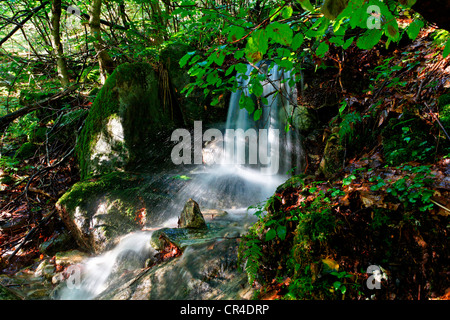 Wasserfall, Val Versasca, Kanton Tessin, Schweiz, Europa Stockfoto