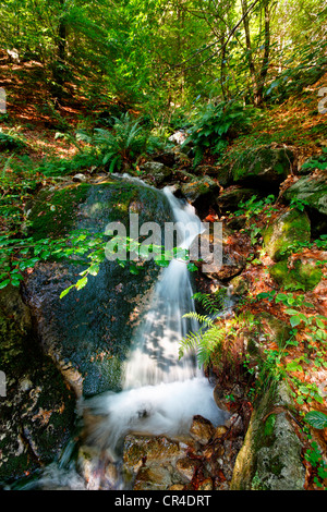 Wasserfall, Val Versasca, Kanton Tessin, Schweiz, Europa Stockfoto