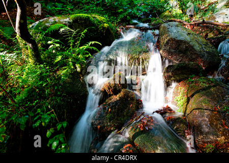 Wasserfall, Val Versasca, Kanton Tessin, Schweiz, Europa Stockfoto