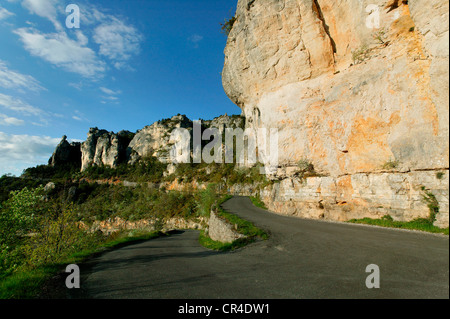 Straße in Gorges du Tarn, die Causses und Cevennen, mediterrane Agro pastorale Kulturlandschaft, als Weltkulturerbe Stockfoto