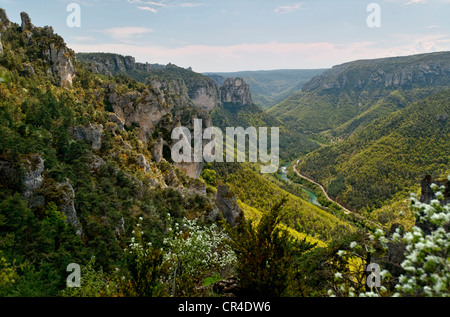 Lozere Gorges du Tarn der Causses und der Cevennen Mittelmeer Agro pastorale Kulturlandschaft als Weltkulturerbe durch Stockfoto