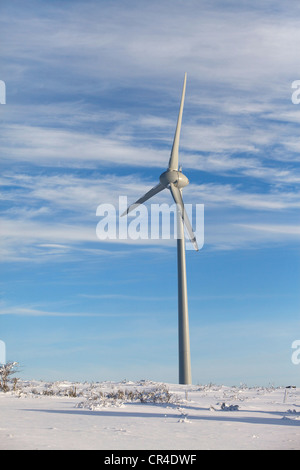 Windmühle, Plateau des Cezallier, Parc Naturel Regional des Vulkane d ' Auvergne, regionaler Natur Park der Vulkane d ' Auvergne Stockfoto