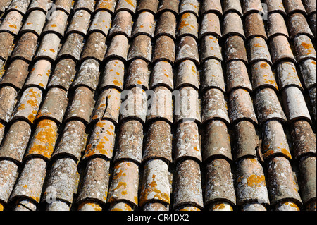 Terrakotta Fliesen Dach, Gradara, Provinz von Pesaro und Urbino, Marken, Italien, Europa Stockfoto