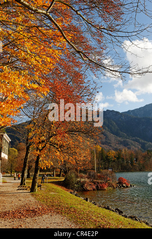 Am See Kochelsee bei Kochel, Oberbayern, Deutschland, Europa Stockfoto