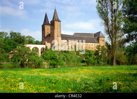 Schloss Rochlitz Schloss am Fluss Mulde, Sachsen, Deutschland, Europa Stockfoto