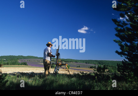 Frankreich, Vaucluse, in der Nähe von Sault, Maler in Lavendel Stockfoto