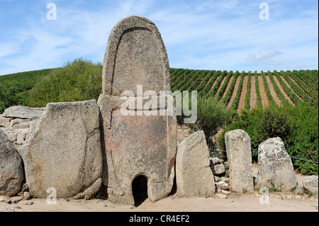 Tomba dei Giganti Coddu Vecchiu, Giants Grab von Coddu Vecchiu, Arcachena, Costa Smeralda, Sardinien, Italien, Europa Stockfoto