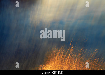 Abstraktes Bild von Wolken und Meer Stockfoto