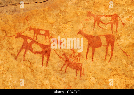 Bemalte Kühe, neolithischen Felszeichnungen an Tin Meskis, Adrar n'Ahnet, Algerien, Sahara, Nordafrika Stockfoto