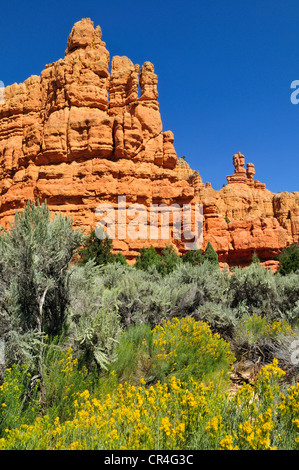 Claron Rock Formation, Dixie National Forest, Utah, USA, Nordamerika Stockfoto