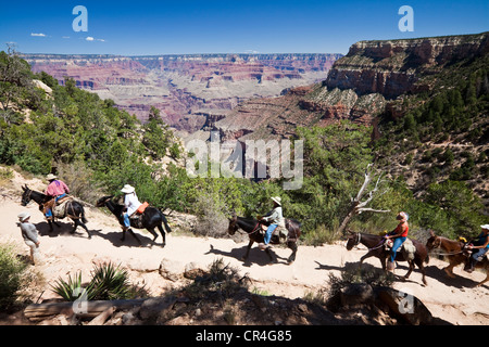 USA, Arizona, Grand Canyon, UNESCO-Welterbe, South Rim, Bright Angel Trail, in Richtung zum Colorado River und Stockfoto