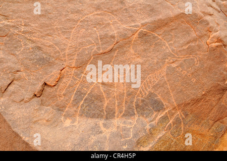 Elefanten Gravur, neolithische Rockart des Bereichs Acacus Berge oder Tadrart Acacus, Tassili n ' Ajjer National Park Stockfoto