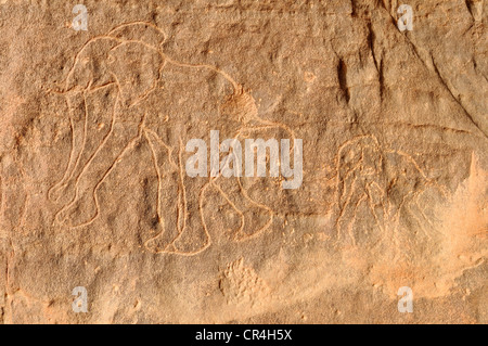 Elefanten Gravur, neolithische Rockart des Bereichs Acacus Berge oder Tadrart Acacus, Tassili n ' Ajjer National Park Stockfoto