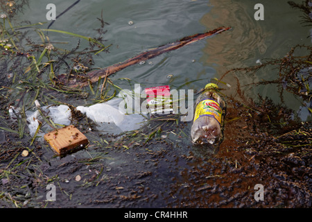 Müll im Wasser, Verschmutzung, Venedig, Venetien, Italien, Europa Stockfoto