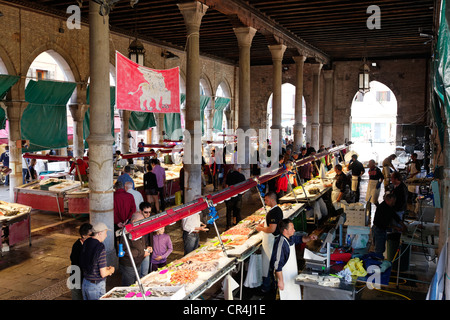 Fisch-Markthalle, Campo De La Pescaria, Rialto-Markt, San Polo Bezirk, Venedig, Venetien, Italien, Europa Stockfoto