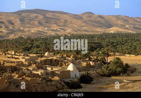 Tunesien, Tozeur Governorate, Tamerza, Bergoase an der Unterseite des Atlas-Gebirges, palm grove Stockfoto