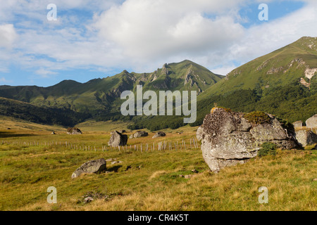 Fontaine Salee Tal, Monts Dore, Sancy Berg, Auvergne Vulkane Naturpark, Puy-de-Dome, Frankreich, Europa Stockfoto