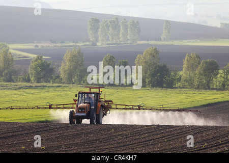 Landwirtschaftliche chemische Behandlung auf Zuckerrüben, Puy de Dome, Frankreich, Europa Stockfoto