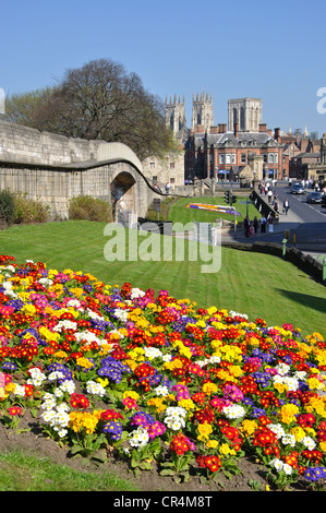 Blumenbeete und Stadtmauern, York, North Yorkshire, England, UK Stockfoto