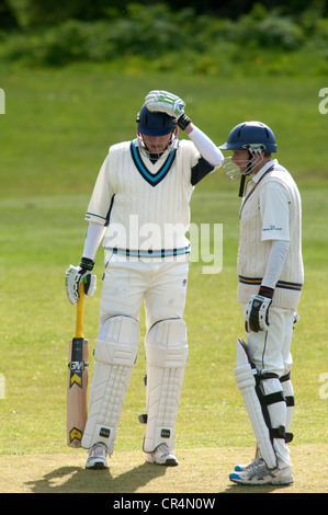 Dorf Cricket bei Ashorne, Warwickshire, UK Stockfoto