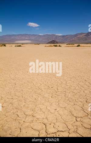 Geknackt Schlamm in einem getrockneten Seegrund im Death Valley National Park in Kalifornien, USA Stockfoto